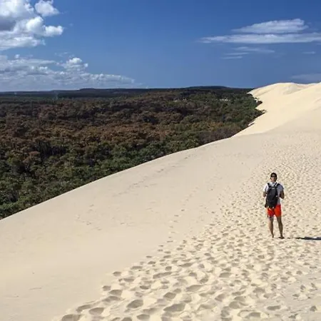 Centre D'arcachon A 400 M De La