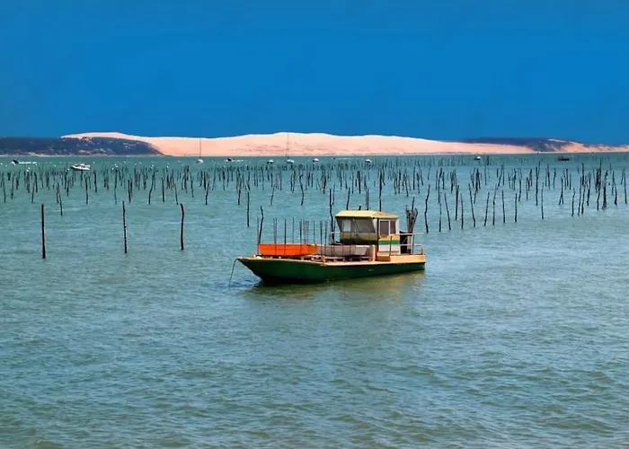 Apartment Centre D'arcachon A 400 M De La Arcachon