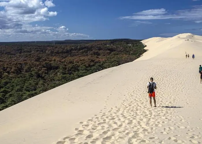 Centre D'arcachon A 400 M De La